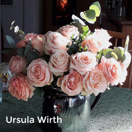 Ursula Wirth: nur EINE Rose als Sttze?